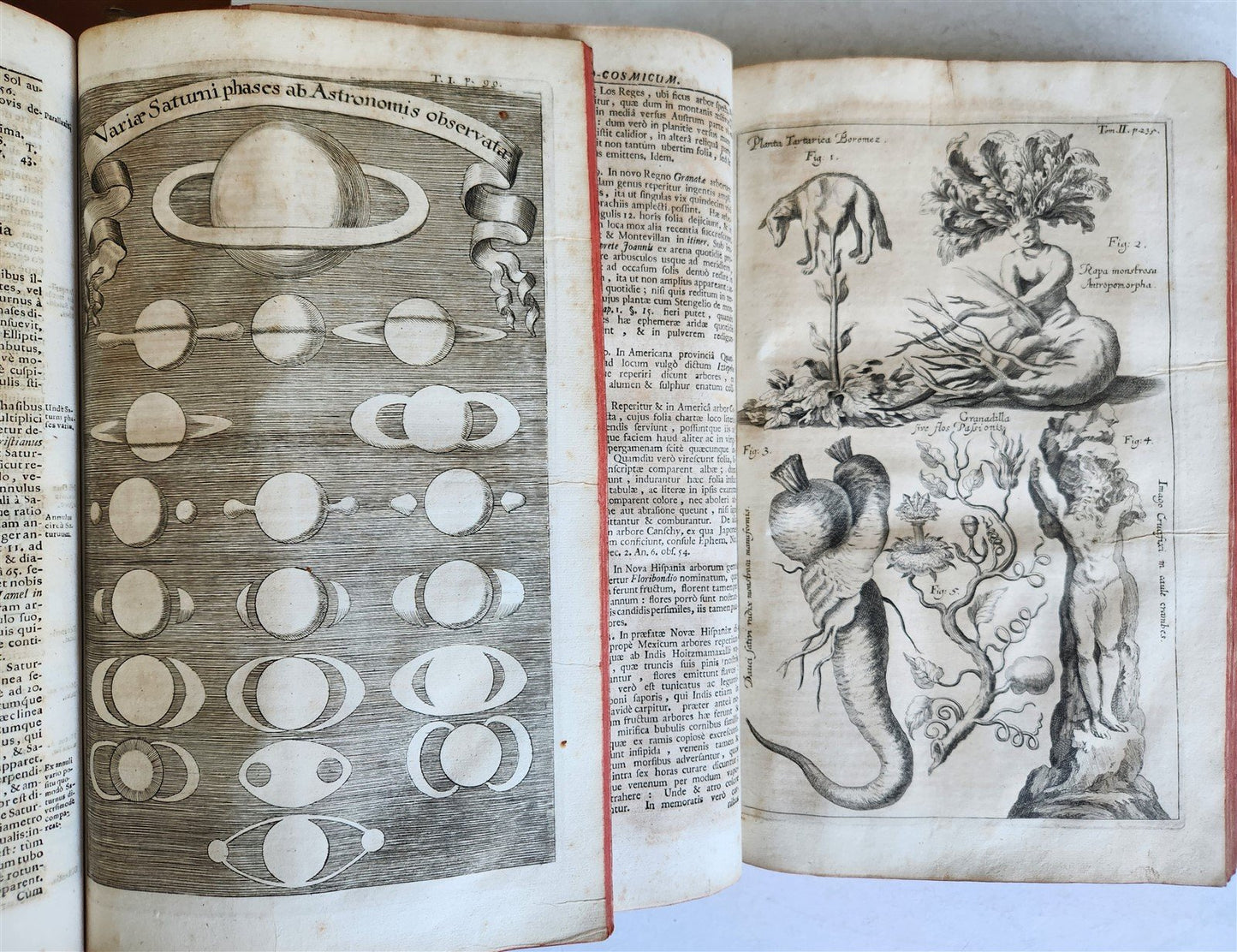 1696 ILLUSTRATED Specula physico-mathematico-historica antique 2 FOLIO VOLUMES