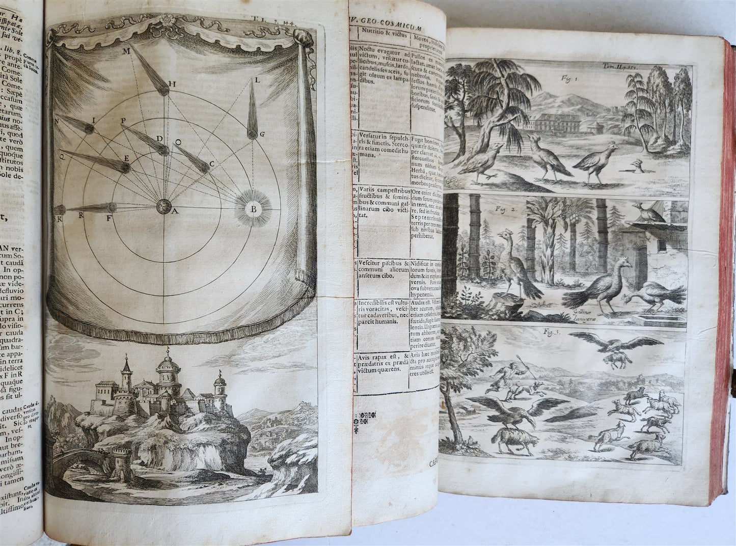 1696 ILLUSTRATED Specula physico-mathematico-historica antique 2 FOLIO VOLUMES