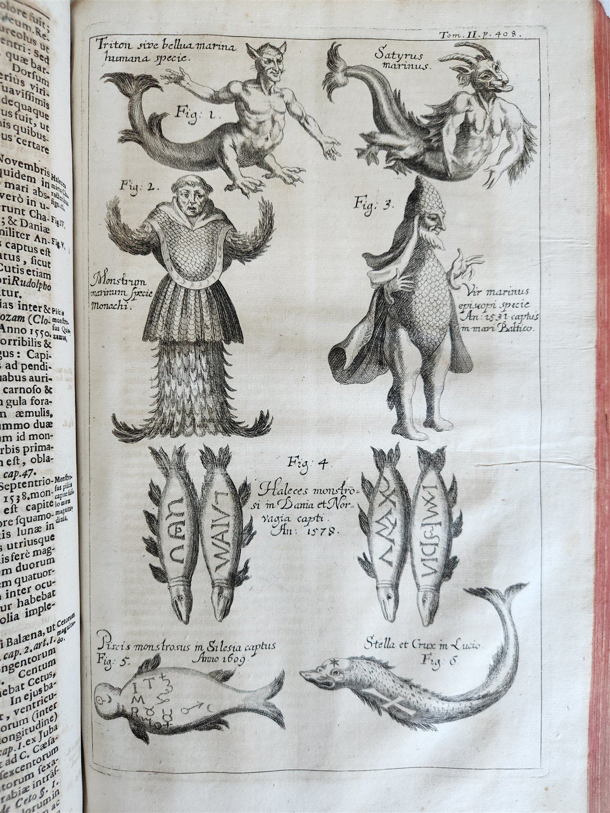 1696 ILLUSTRATED Specula physico-mathematico-historica antique 2 FOLIO VOLUMES