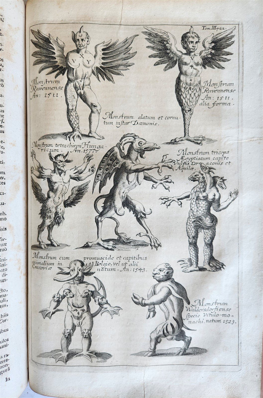1696 ILLUSTRATED Specula physico-mathematico-historica antique 2 FOLIO VOLUMES