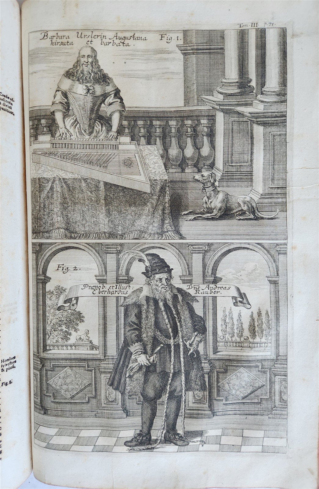 1696 ILLUSTRATED Specula physico-mathematico-historica antique 2 FOLIO VOLUMES