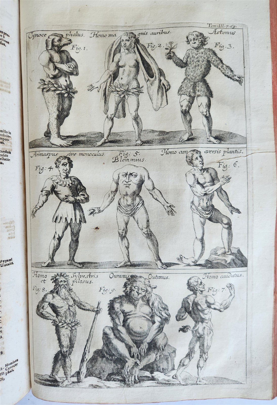 1696 ILLUSTRATED Specula physico-mathematico-historica antique 2 FOLIO VOLUMES