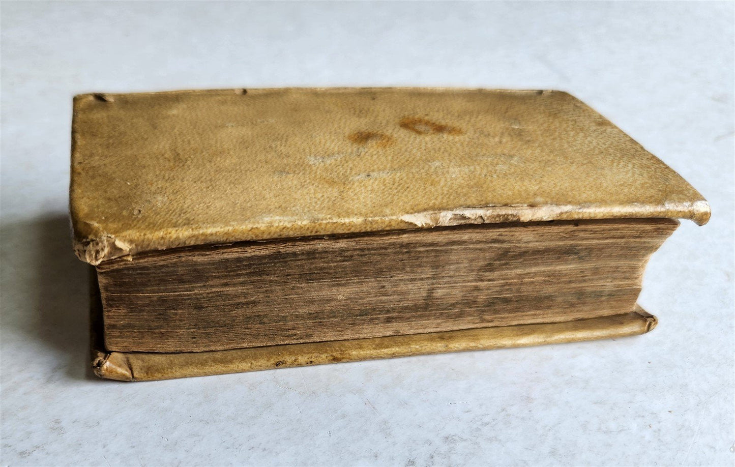 1566 PINDARI OLYMPIA antique Pindarus GREEK & LATIN Poetry VELLUM BINDING