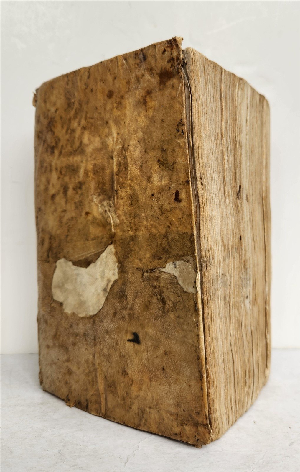 1740 ITALIAN LANGUAGE TREATISE by Giovanni Margini antique VELLUM BOUND