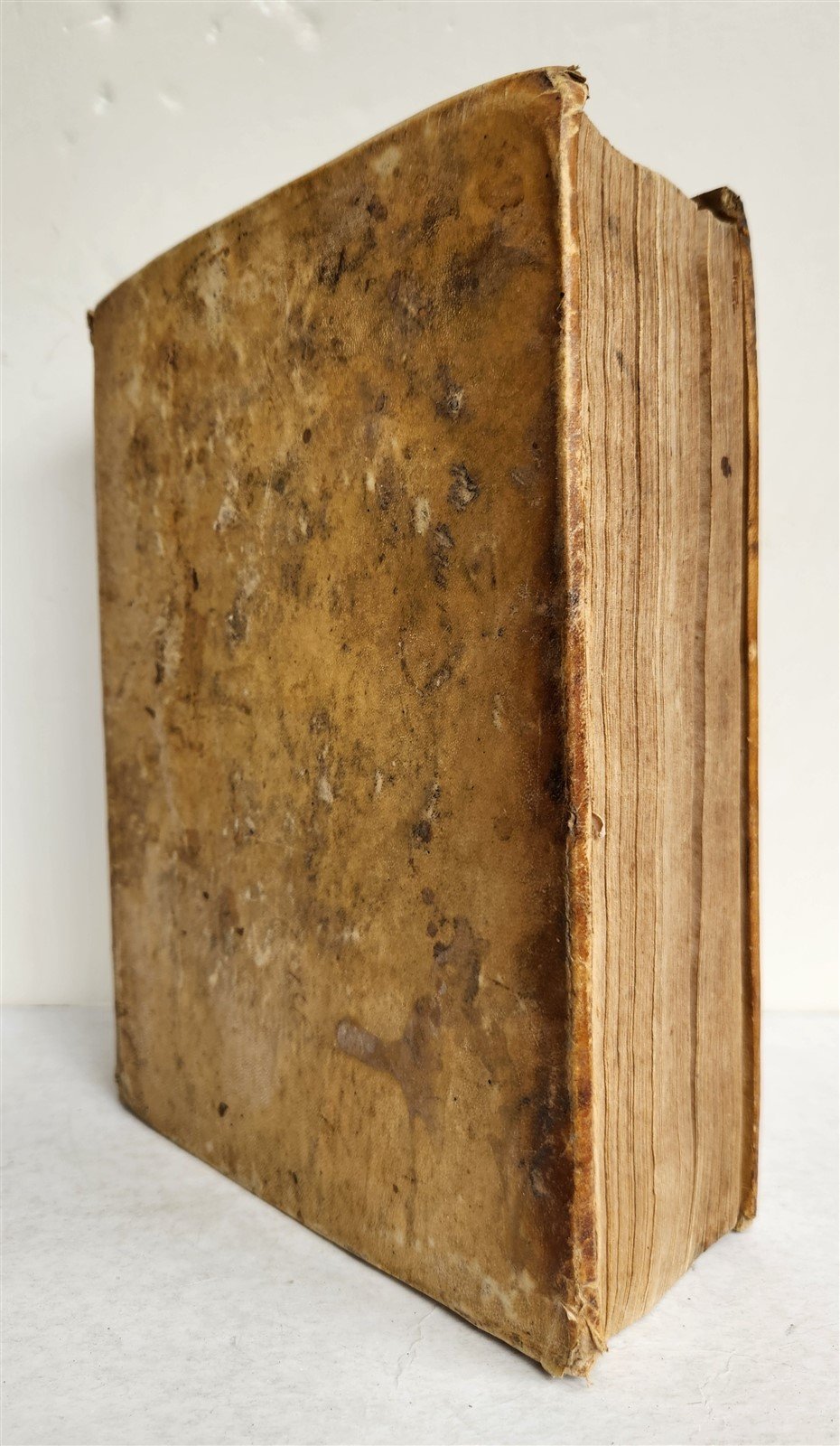 1723 THEOLOGY by D. LUDOVICO SABATINO LA LUCE EVANGELICA antique VELLUM BOUND