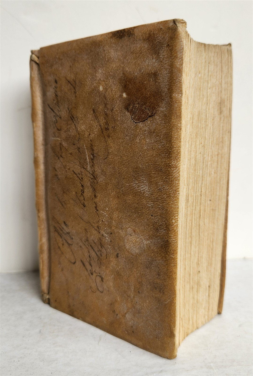 1683 THEOLOGY by Rev. Gervasii Pizzurni Genuensis antique VELLUM BOUND