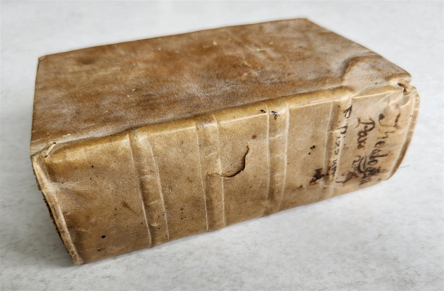 1683 THEOLOGY by Rev. Gervasii Pizzurni Genuensis antique VELLUM BOUND