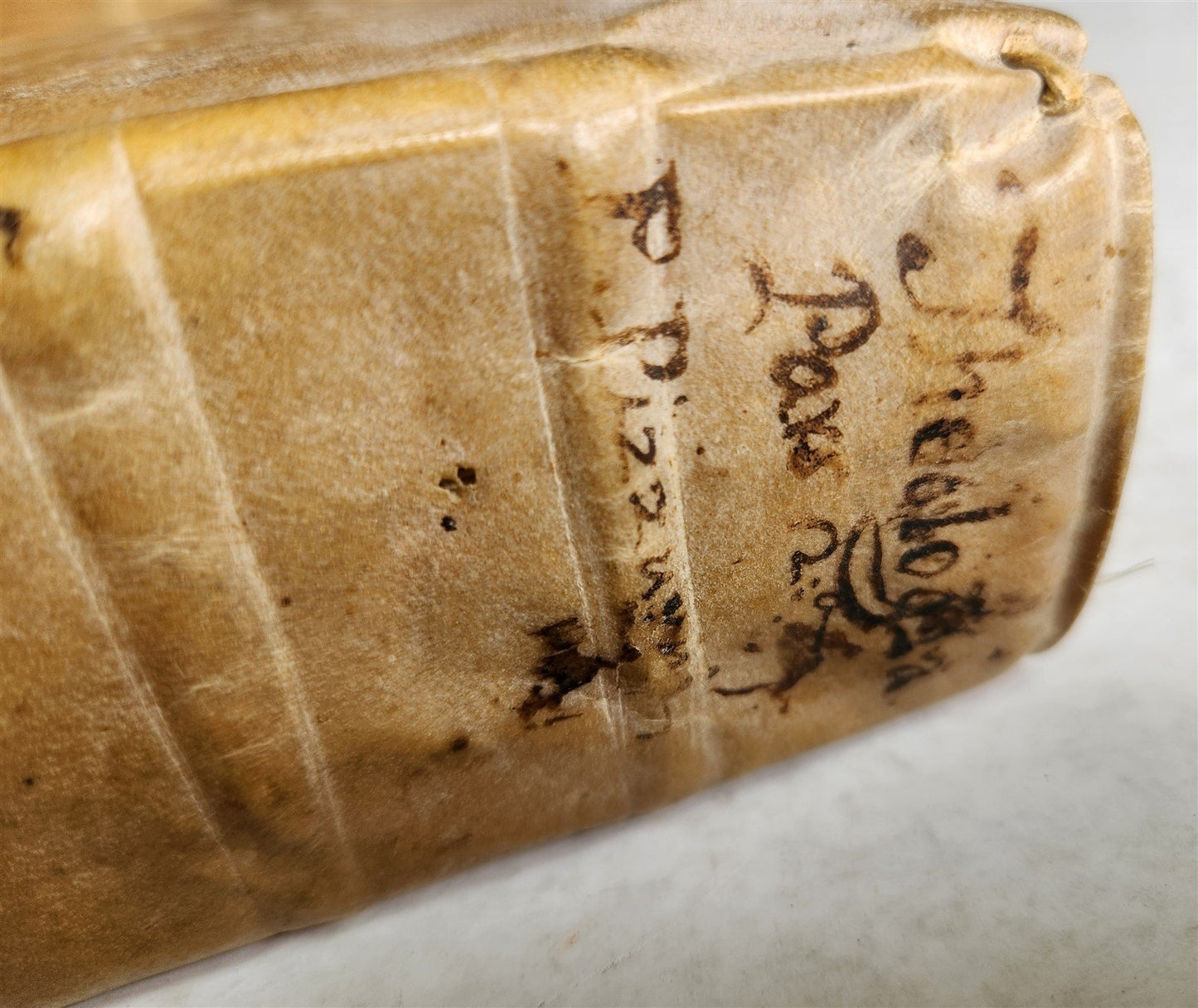 1683 THEOLOGY by Rev. Gervasii Pizzurni Genuensis antique VELLUM BOUND
