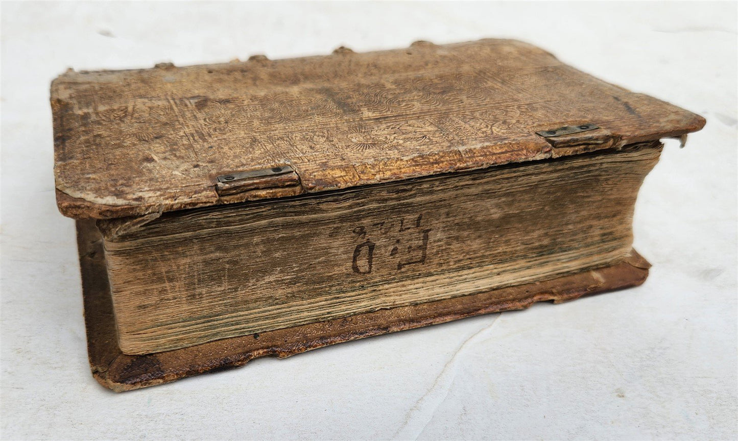 1579 JULIUS CAESAR ILLUSTRATED DE BELLO GALICO antique PIGSKIN BOUND 16th CENT.