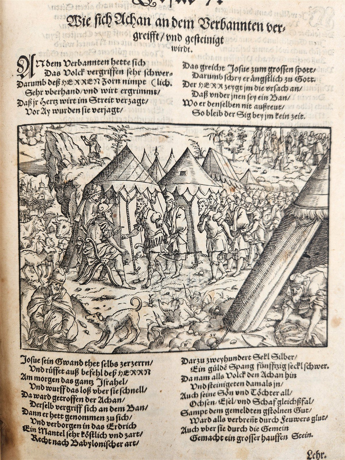 1569 PICTURE BIBLE antique ILLUSTRATED LAYMANS BIBLIA J. Amman Solis Bocksberger