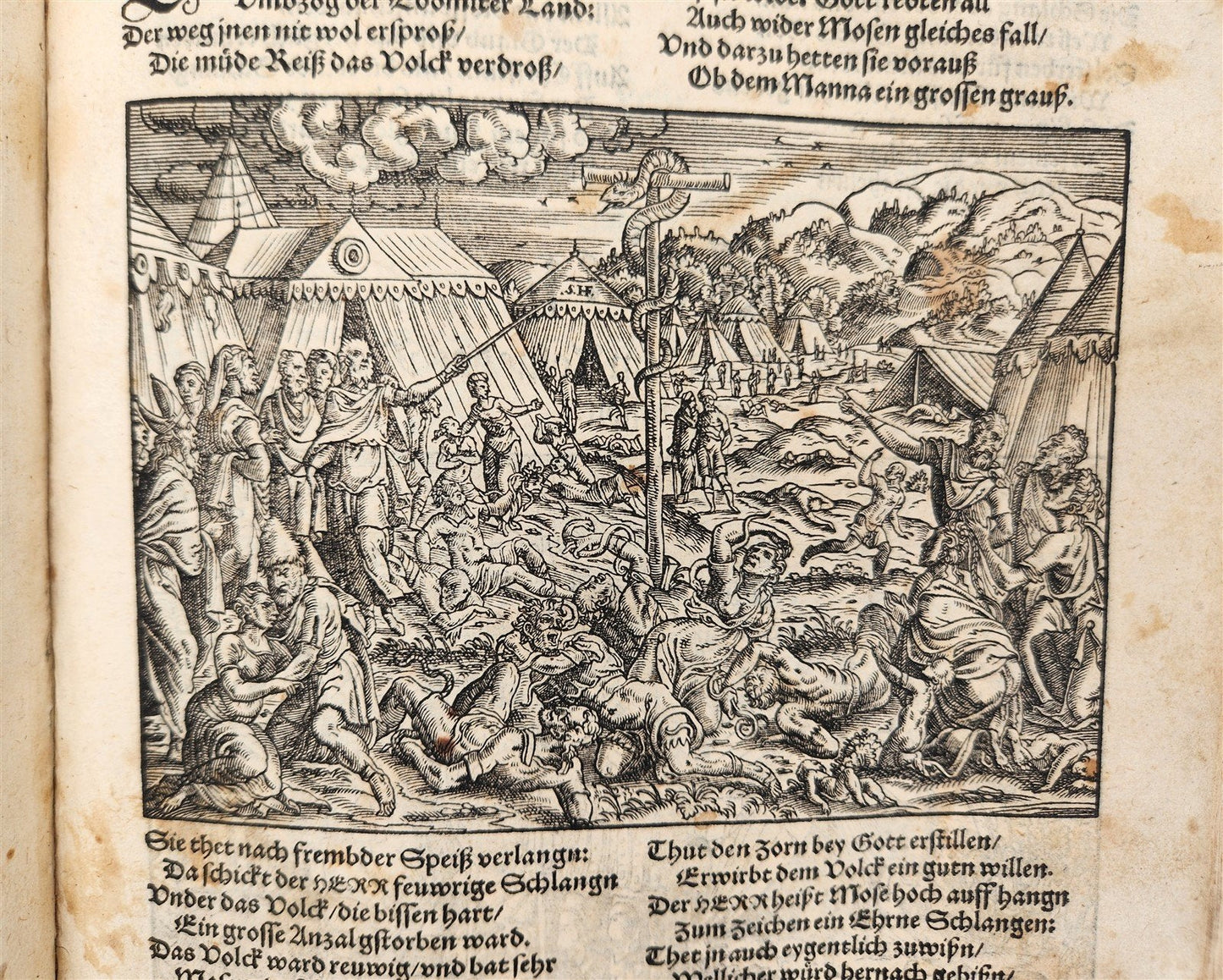 1569 PICTURE BIBLE antique ILLUSTRATED LAYMANS BIBLIA J. Amman Solis Bocksberger