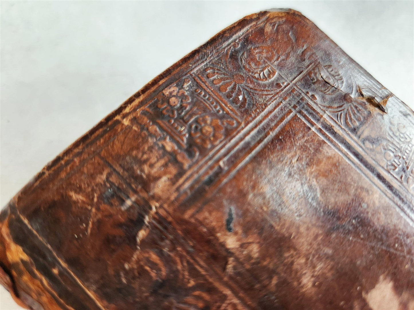 1545 VALERIUS MAXIMUS Factorum dictorumque memorabilium antique ORIGINAL BINDING