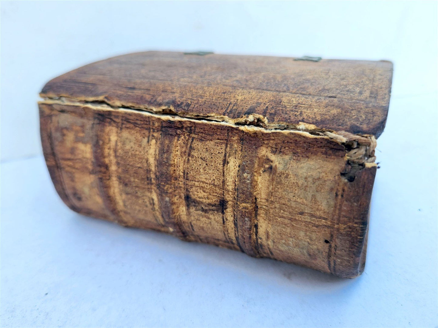 1550 BIBLE in LATIN by ERASMUS antique RARE ZURICH pocket size NEW TESTAMENT