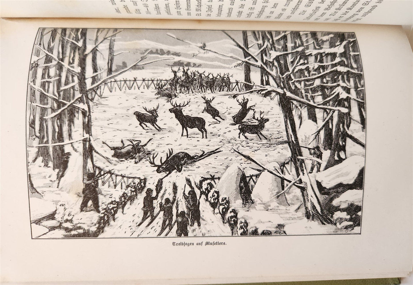 1897 Auf nach ALASKA by J. Moller antique ILLUSTRATED in GERMAN