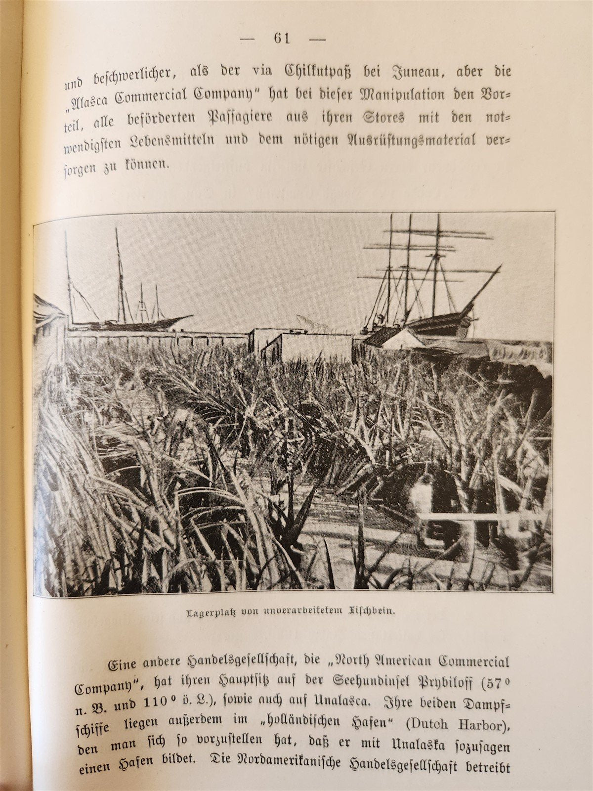1897 Auf nach ALASKA by J. Moller antique ILLUSTRATED in GERMAN