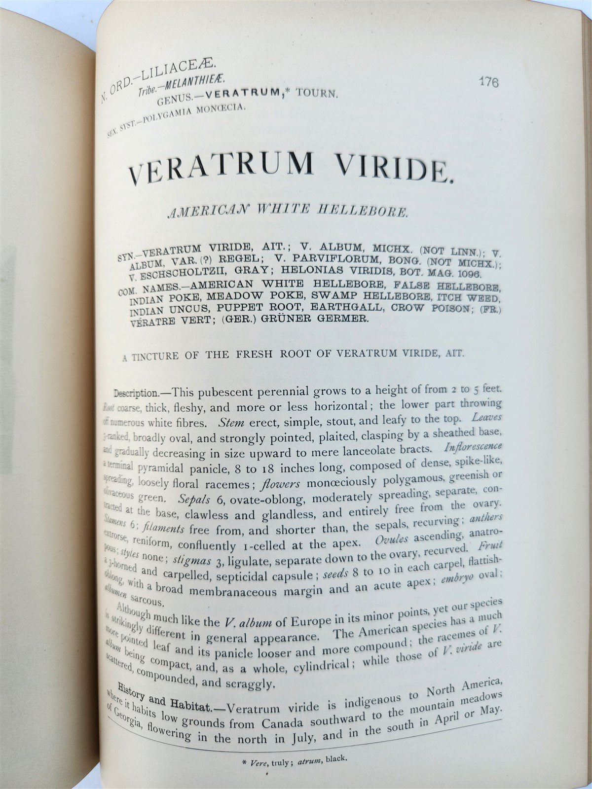 1892 MEDICINAL PLANTS 2 VOLUMES ILLUSTRATED FOLIOS antique by CHARLES MILLSPAUGH