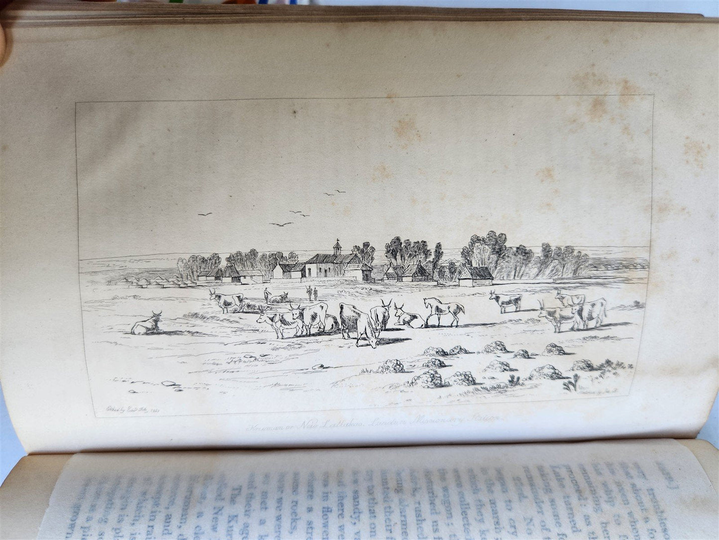 1844 A NARRATIVE of a VISIT to MAURITIUS & SOUTH AFRICA antique ILLUSTRATED
