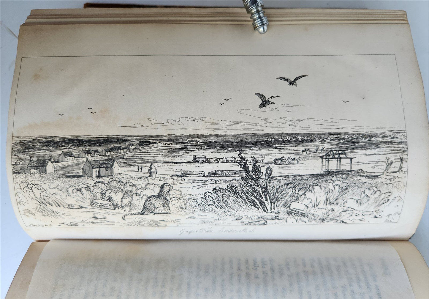 1844 A NARRATIVE of a VISIT to MAURITIUS & SOUTH AFRICA antique ILLUSTRATED