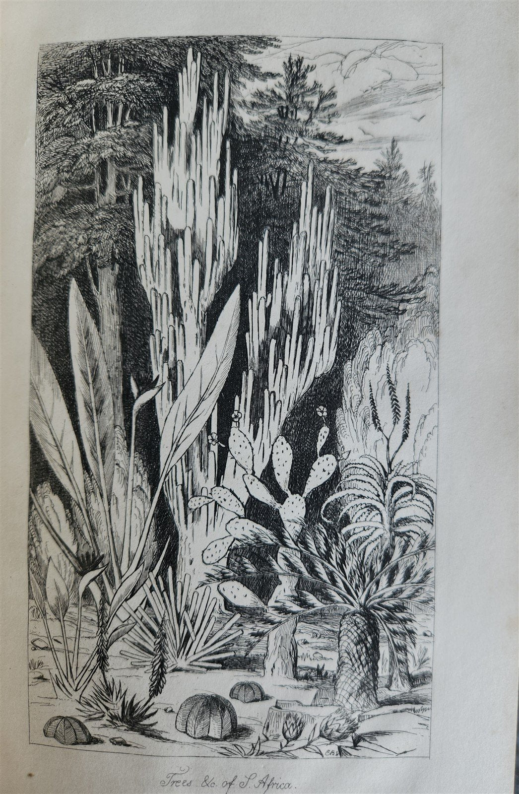 1844 A NARRATIVE of a VISIT to MAURITIUS & SOUTH AFRICA antique ILLUSTRATED