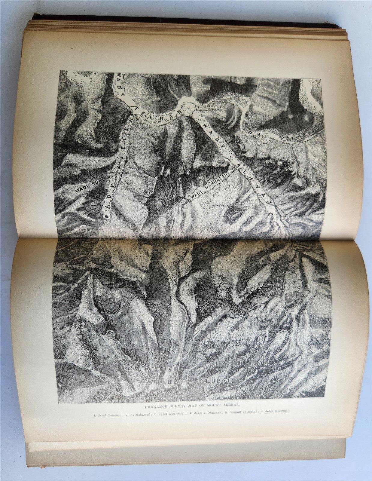 1879 FROM EGYPT TO PALESTINE by S. Bartlett antique ILLUSTRATED w/ FOLDING MAP