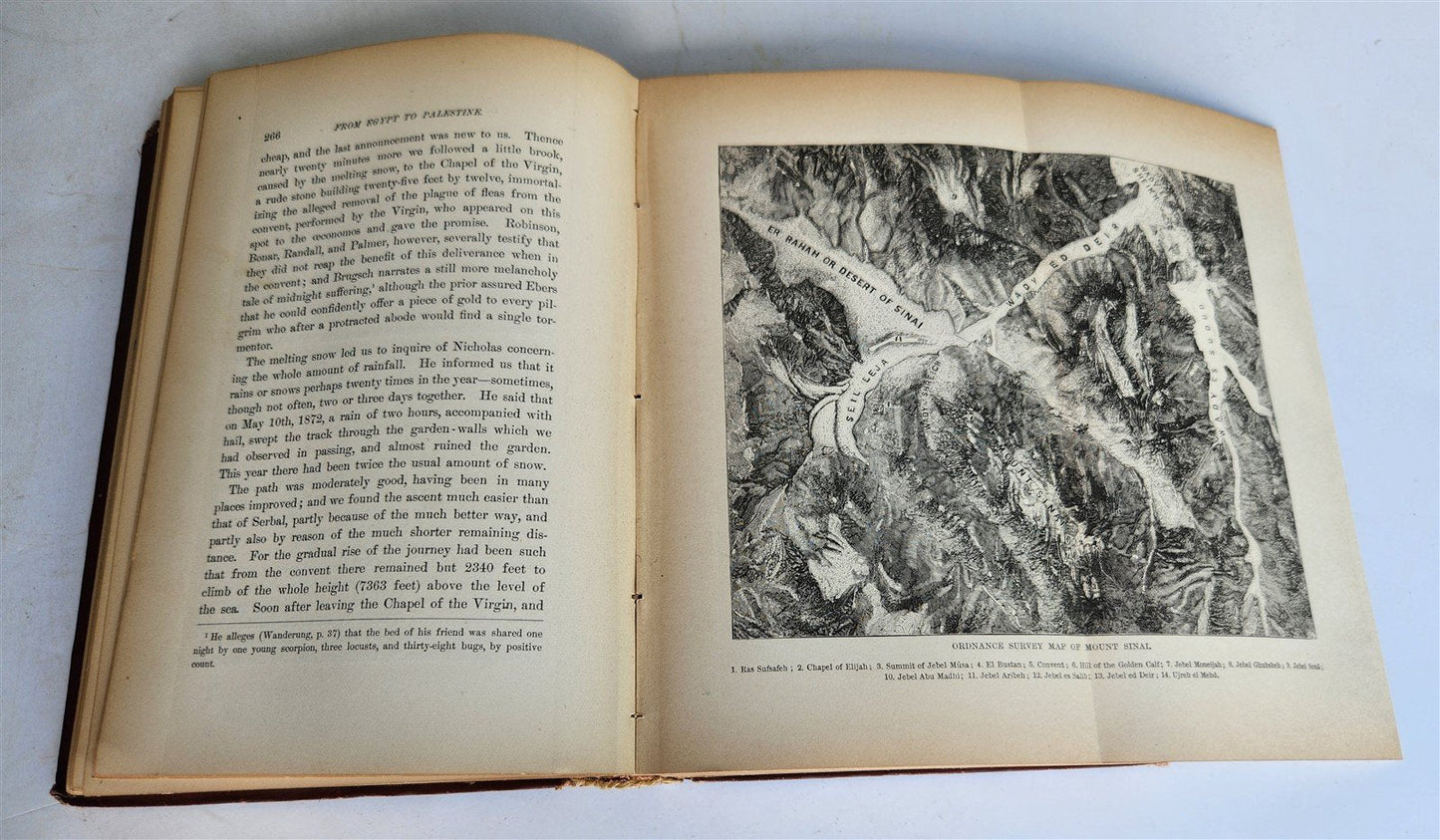 1879 FROM EGYPT TO PALESTINE by S. Bartlett antique ILLUSTRATED w/ FOLDING MAP