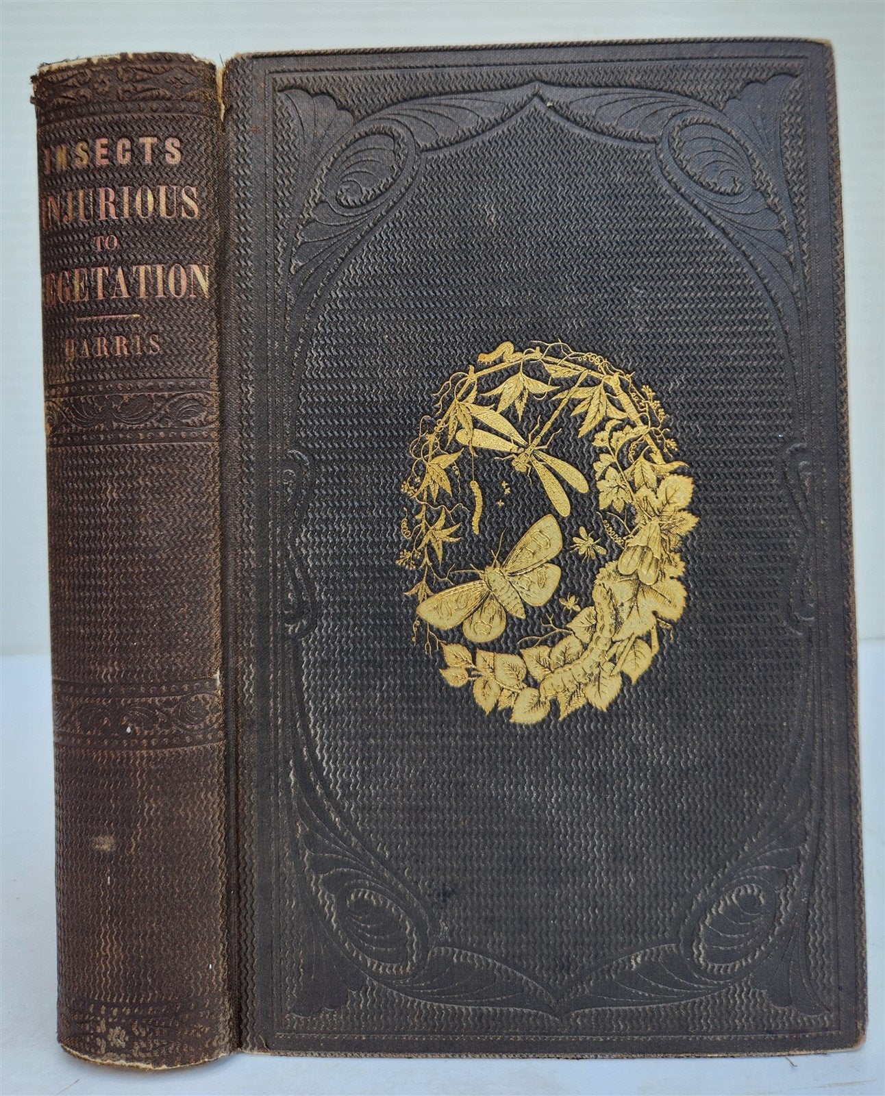 1862 TREATISE on INSECTS INJURIOUS TO VEGETATION antique ILLUSTRATED