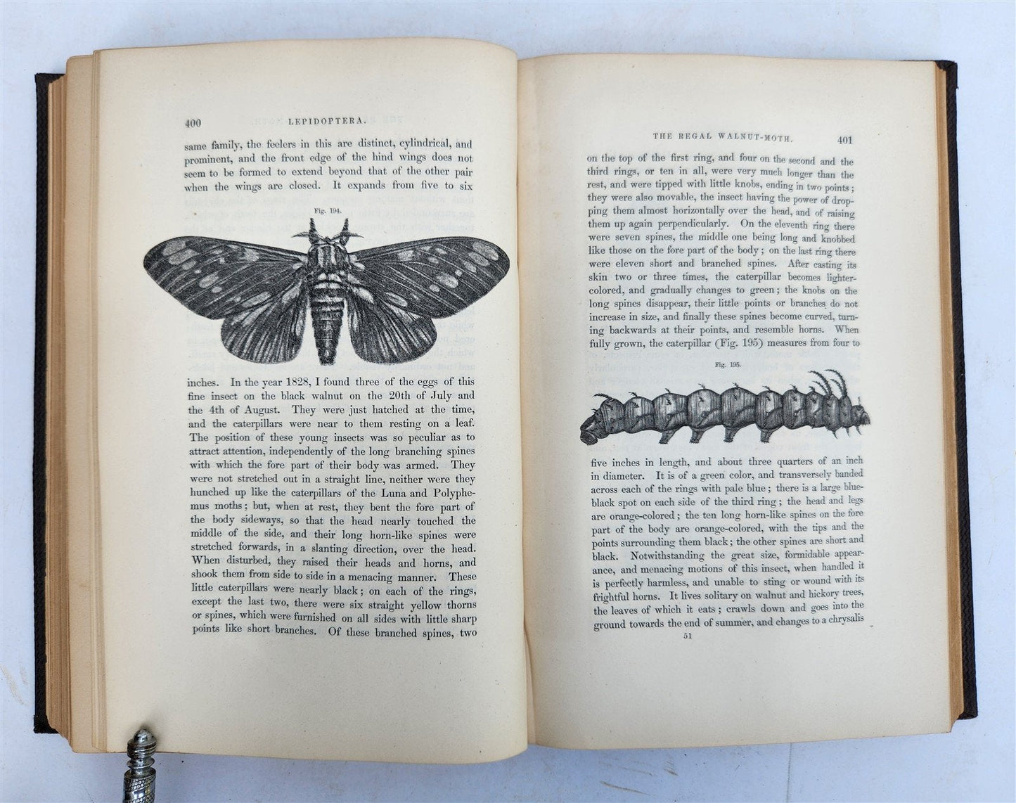 1862 TREATISE on INSECTS INJURIOUS TO VEGETATION antique ILLUSTRATED