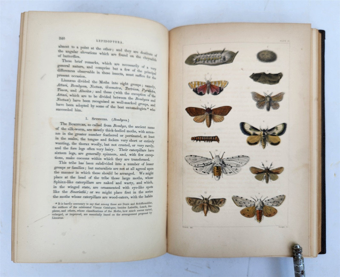 1862 TREATISE on INSECTS INJURIOUS TO VEGETATION antique ILLUSTRATED