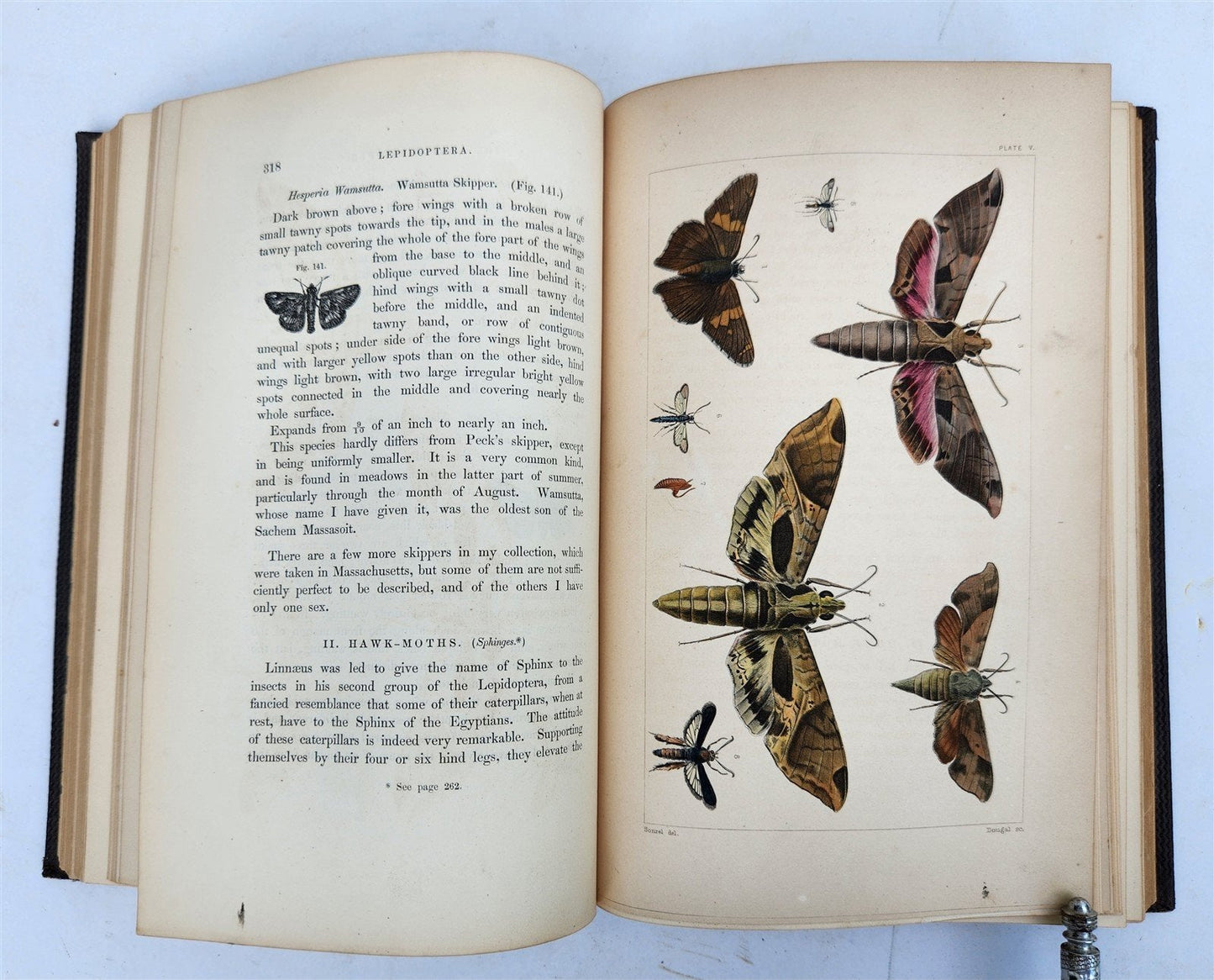 1862 TREATISE on INSECTS INJURIOUS TO VEGETATION antique ILLUSTRATED