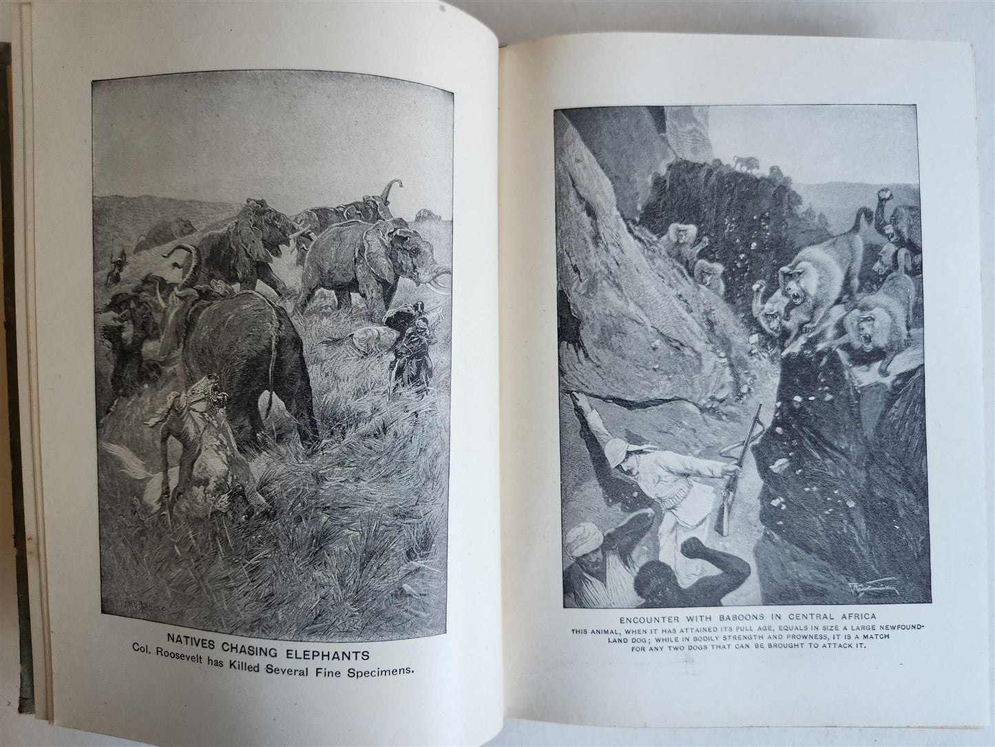 1909 THRILLING ADVENTURES in WILDS of AFRICA ROOSEVELT HUNT antique ILLUSTRATED