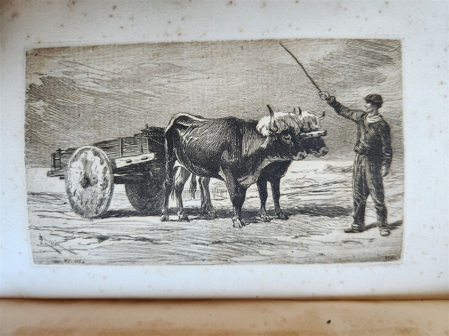 1883 SHADOW of the PYRENEES from BASQUE LAND to CARCASSONNE antique ILLUSTRATED