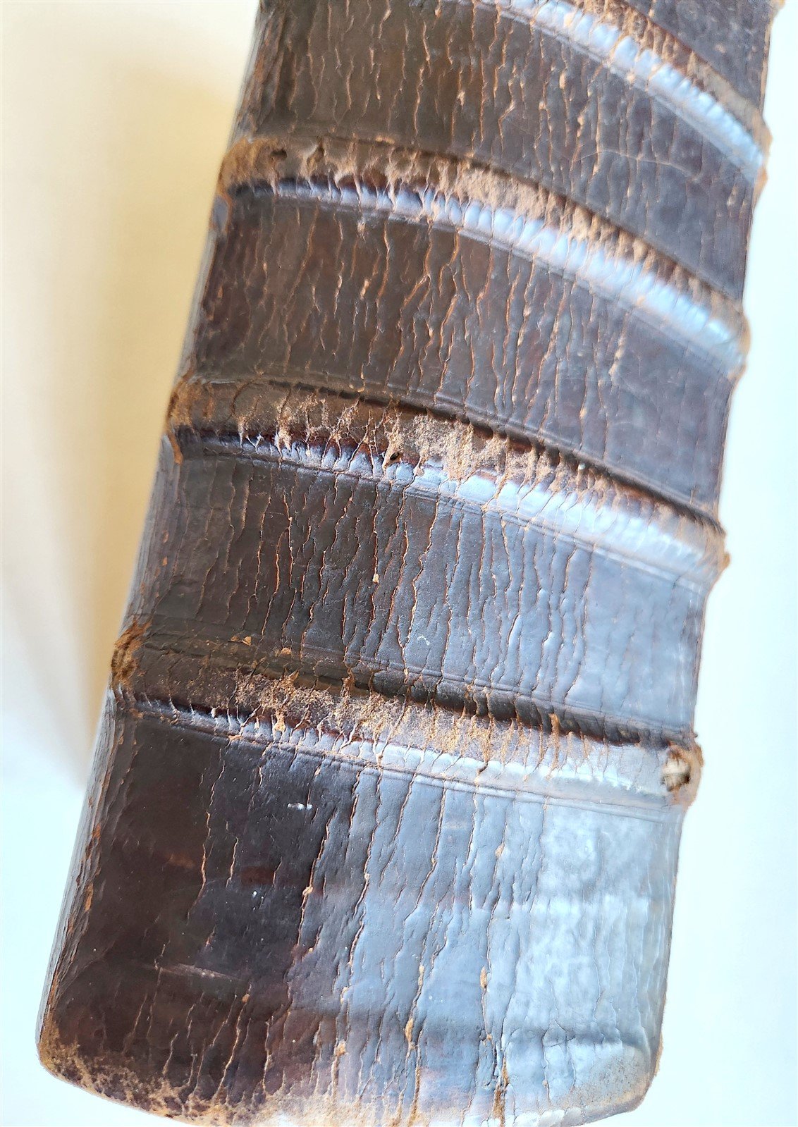 1743 BIBLE in GERMAN by CHRISTOPH SAUR antique RARE Americana