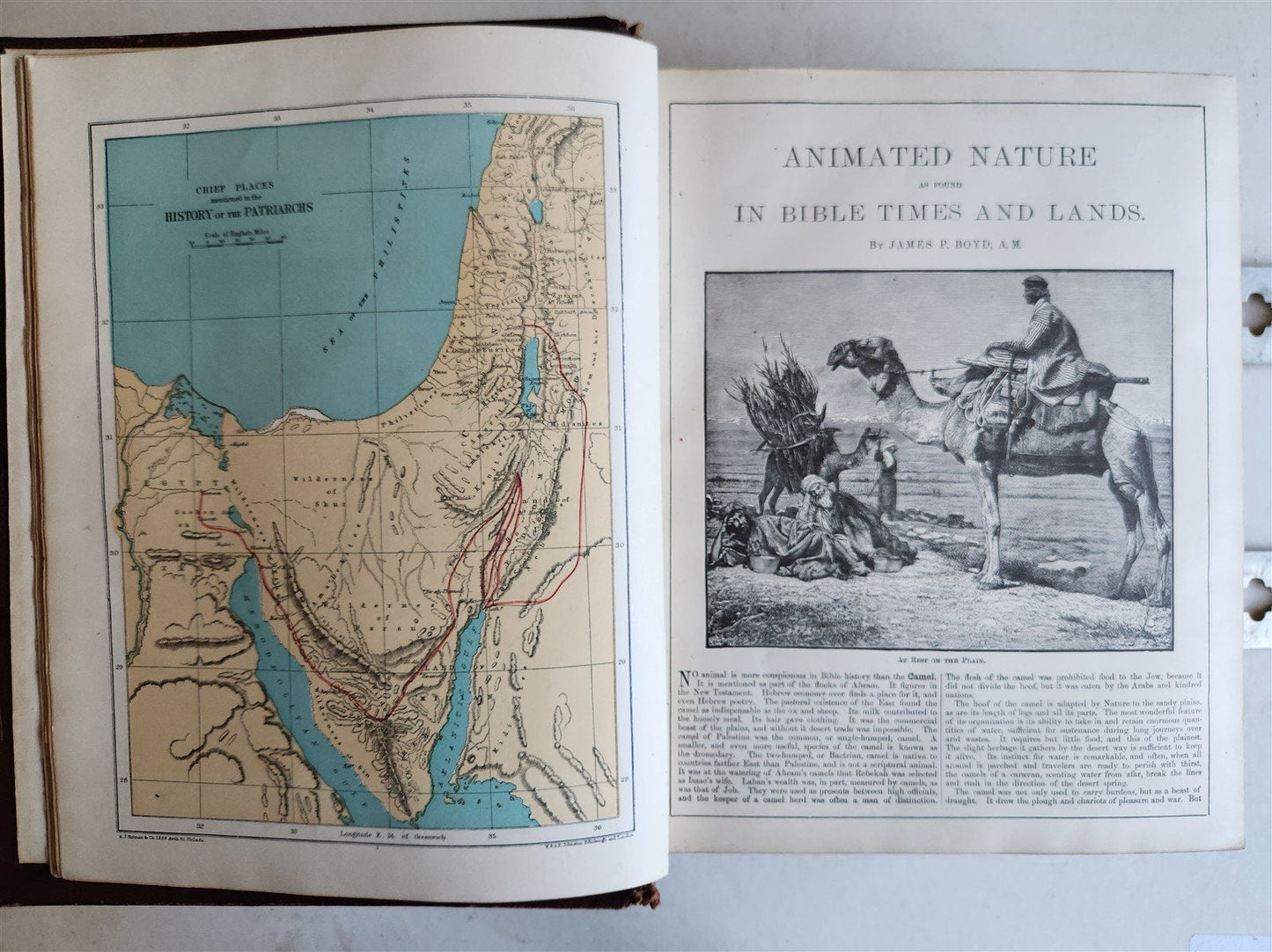 1900 BIBLE in ENGLISH ANTIQUE VICTORIAN MASSIVE FOLIO GUSTAVE DORE ILLUSTRATED