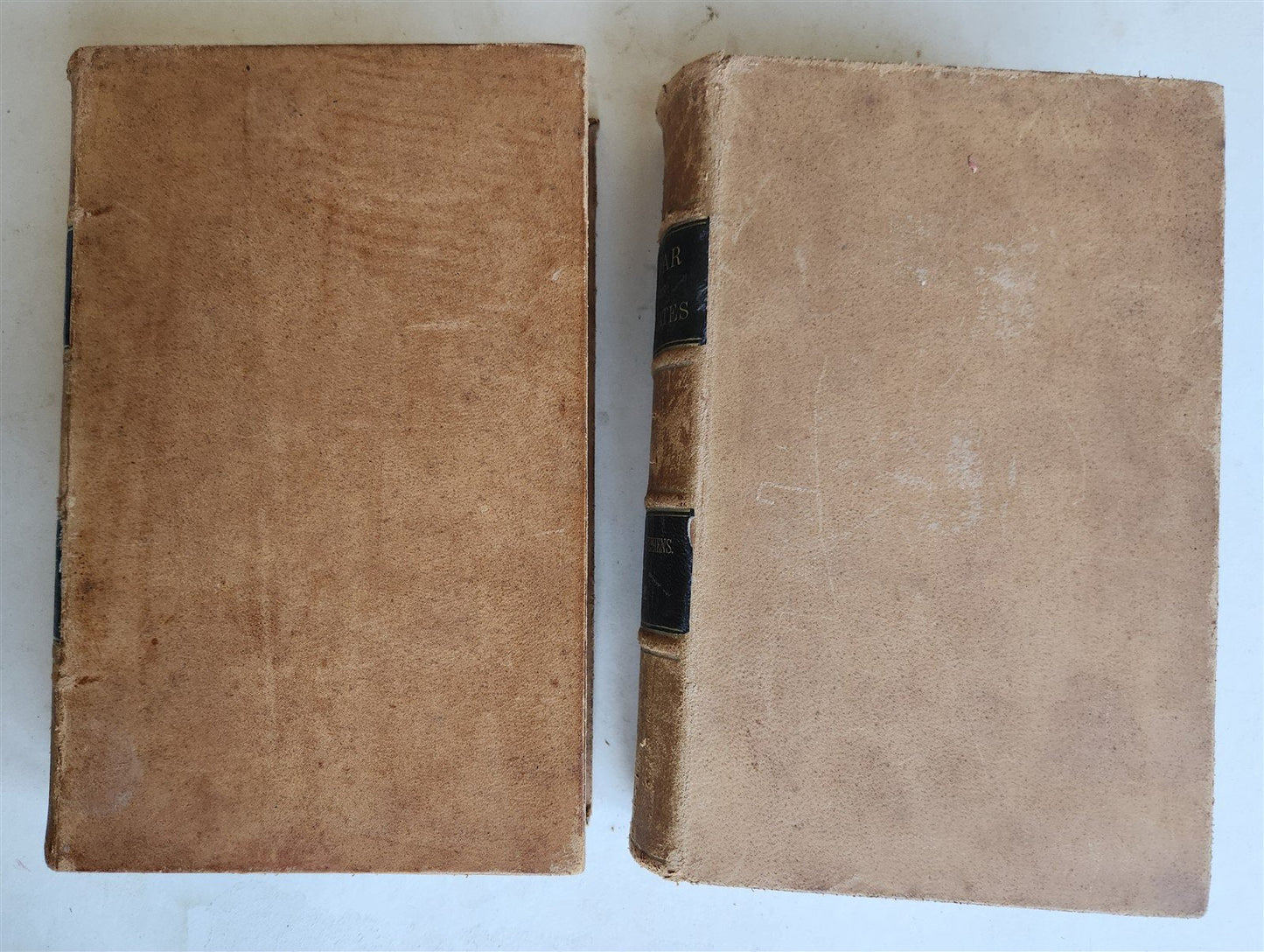 1868 CONSTITUTIONAL VIEW of LATE WAR BETWEEN THE STATES 2 vols antique AMERICANA