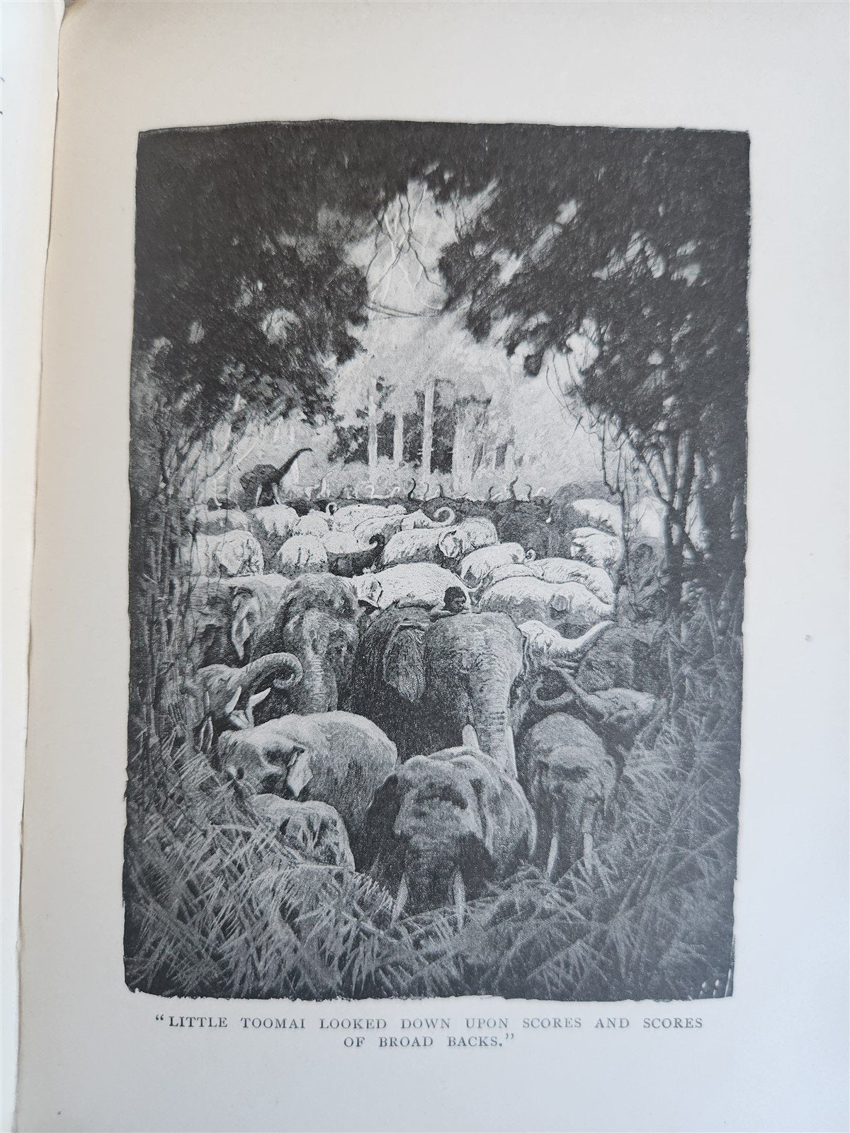 1896-98 THE JUNGLE BOOKS by RUDYARD KIPLING 2 vols antique ILLUSTRATED