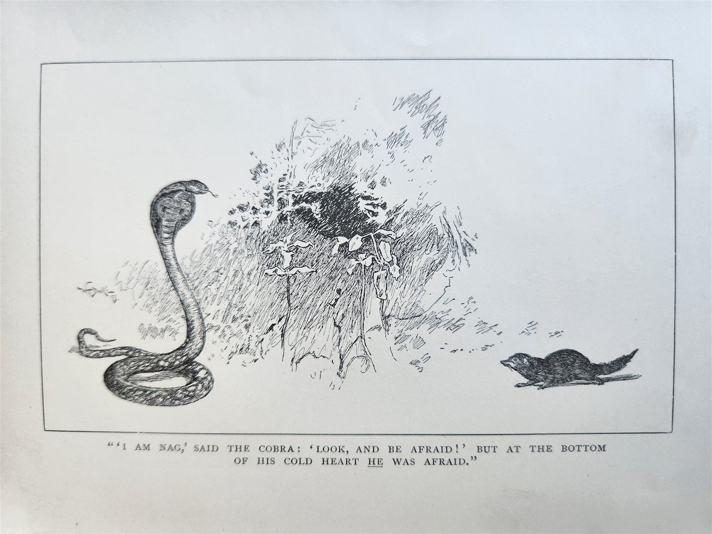 1896-98 THE JUNGLE BOOKS by RUDYARD KIPLING 2 vols antique ILLUSTRATED