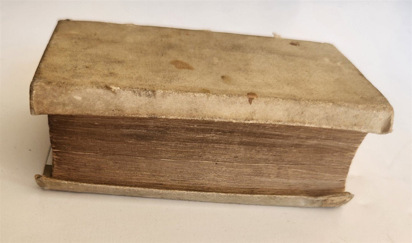 1631 DE REBUS PUBLICIS HANSEATICIS antique VELLUM BOUND