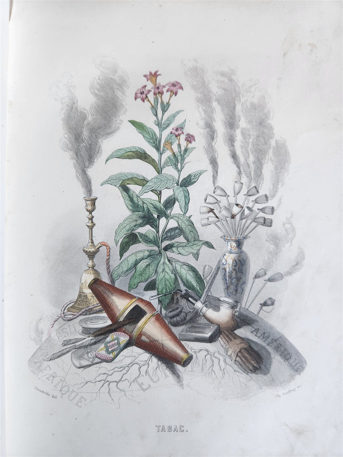 1847 LES FLEURS ANIMEES antique ILLUSTRATED with WOMEN PERSONIFYING FLOWERS