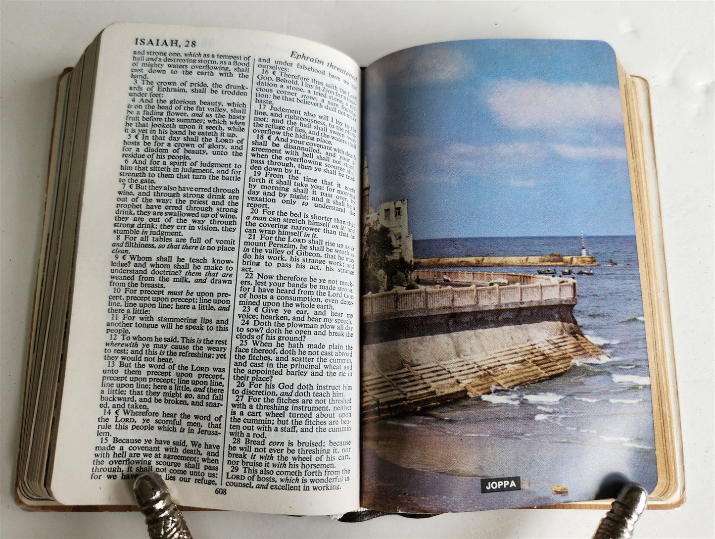 1950s BIBLE in ENGLISH w/ HOLY LAND PHOTOS & MOTHER-OF-PEARL BINDING vintage