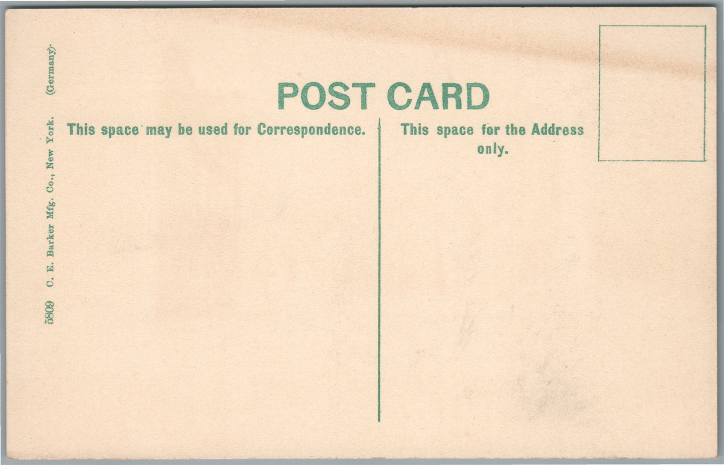 CHERRY VALLEY NY MAIN STREET ANTIQUE POSTCARD