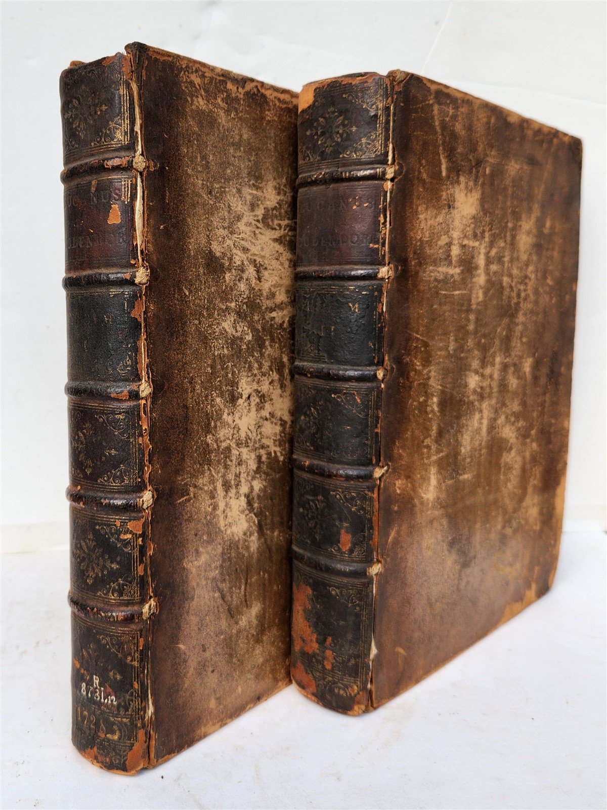 1728 PHARSALIA by LUCAN antique ANCIENT ROMAN POEM 2 volumes