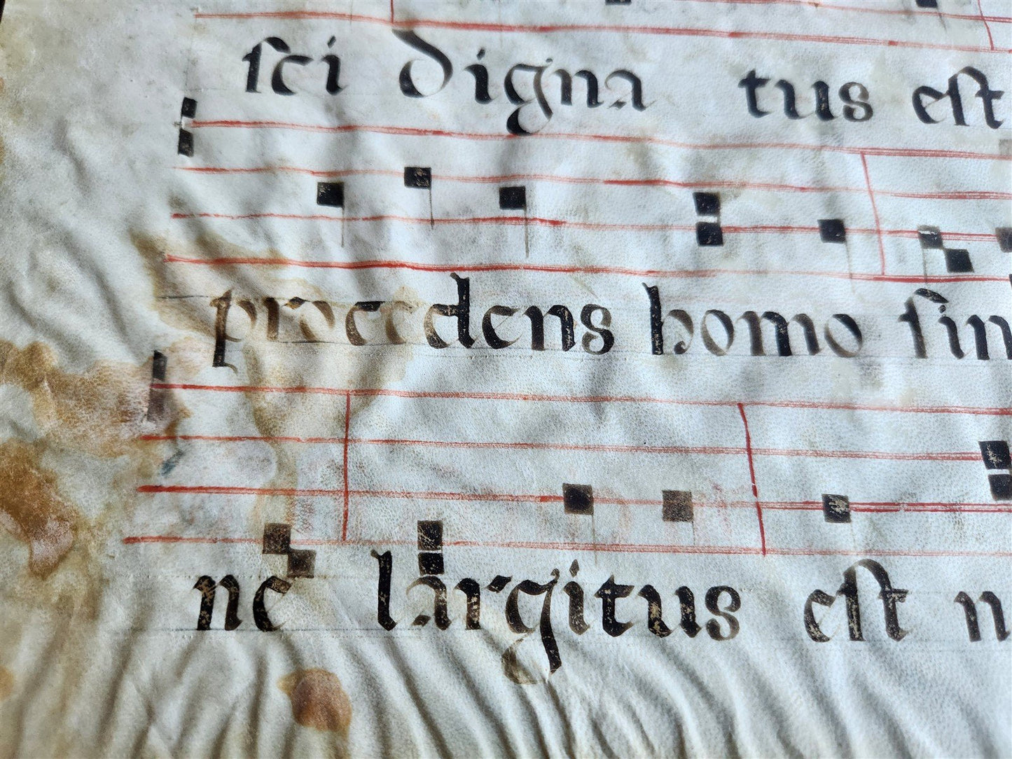 17th century ANTIPHONAL MANUSCRIPT on VELLUM ANTIQUE hand writing
