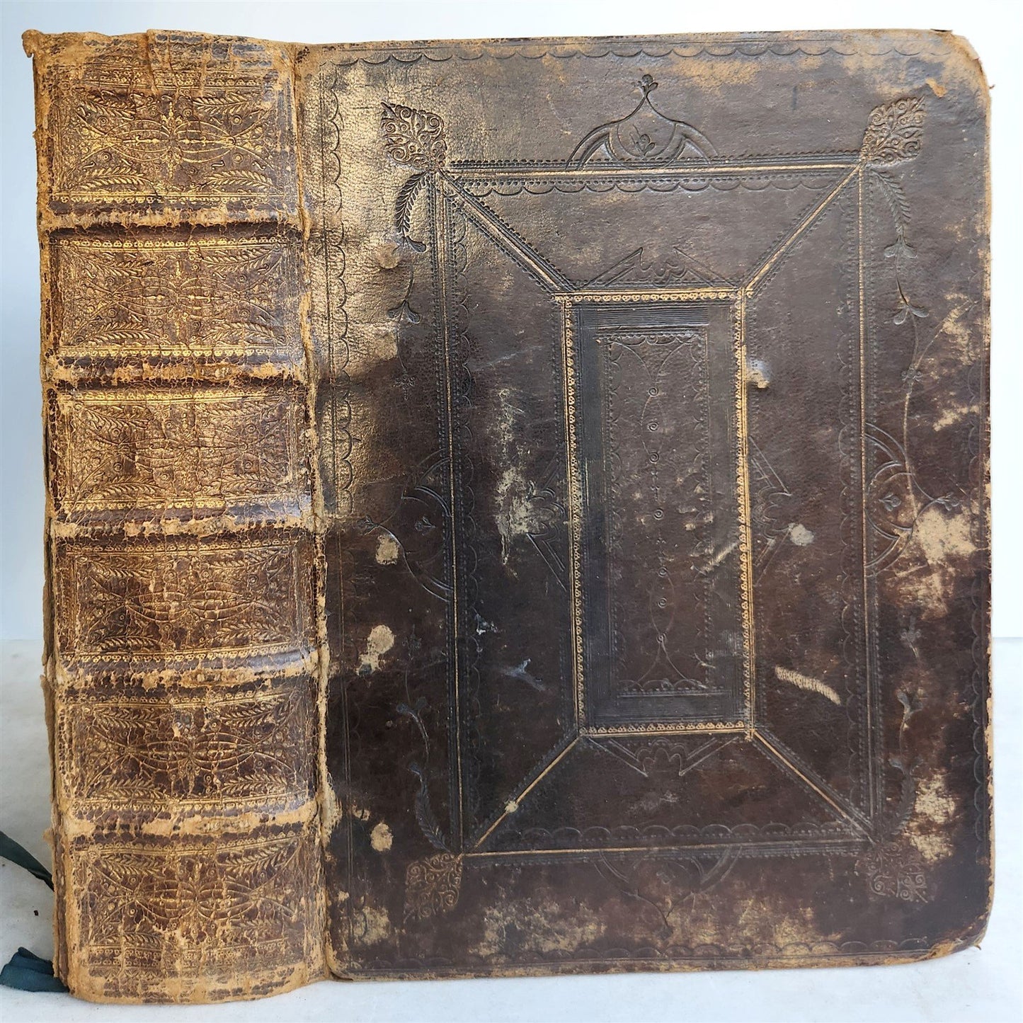 1703 BIBLE in ENGLISH antique London: Charles Bill & Executrix of Thomas Newcomb