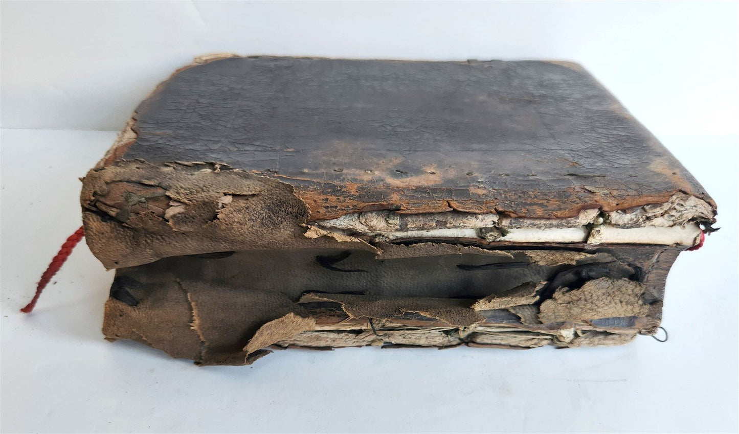 1677 BIBLE in ENGLISH antique OLD & NEW TESTAMENT Cambridge by John Hayes