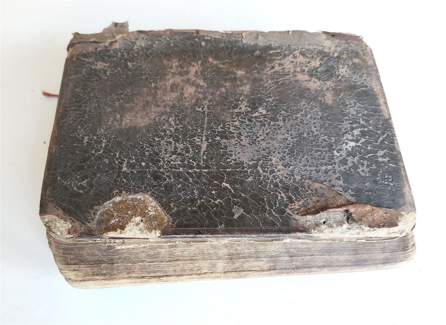 1677 BIBLE in ENGLISH antique OLD & NEW TESTAMENT Cambridge by John Hayes