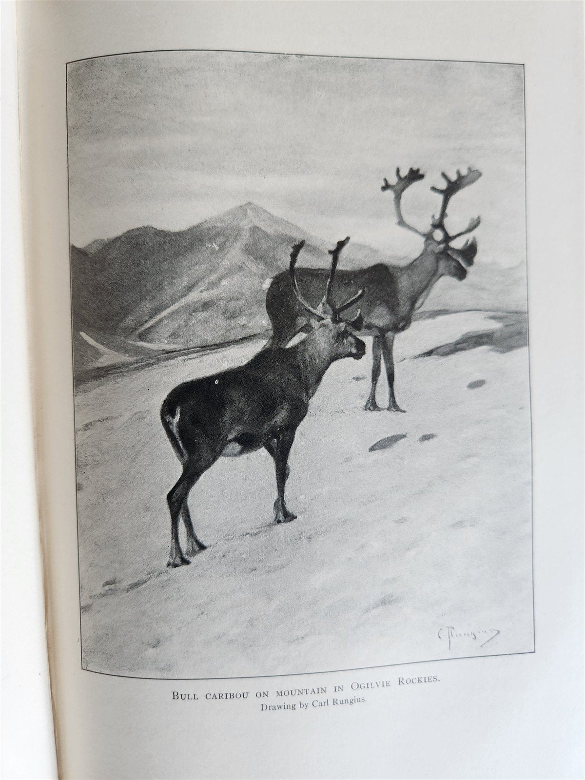 1919 THE WILDERNESS OF THE UPPER YUKON by C.Sheldon ILLUSTRATED antique