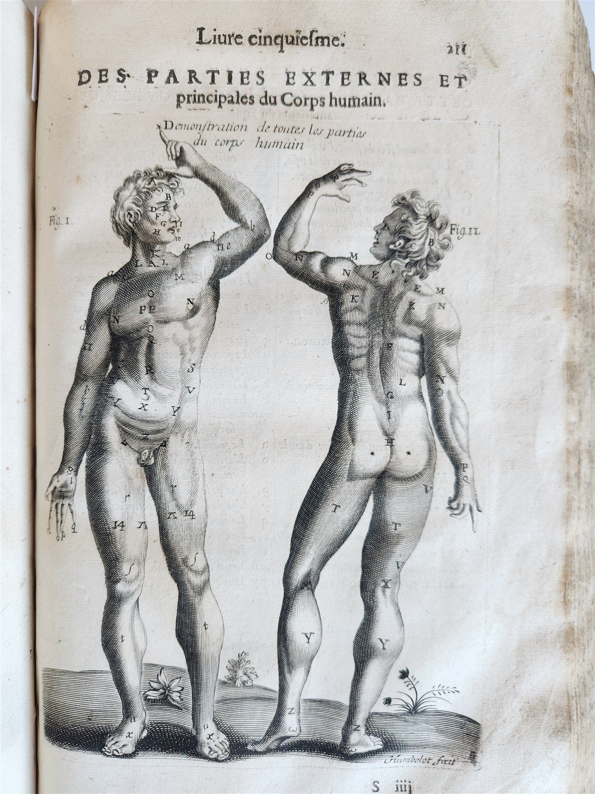 1646 ANATOMY ILLUSTRATED after VESALIUS antique FOLIO 17th CENTURY scarce