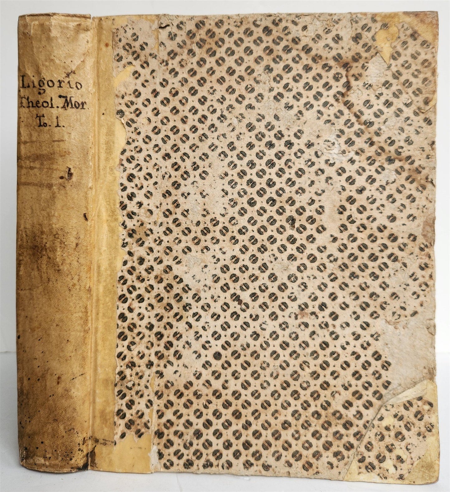 1906-1907 REPORT of the BUREAU of AMERICAN ETHNOLOGY antique ILLUSTRATED