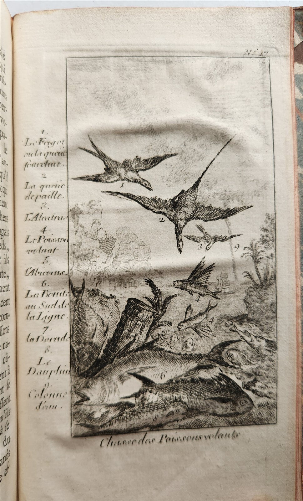 1749 HISTOIRE des VOYAGES antique V.2 TENERIFE PERSIAN GULF W.AFRICA illustrated