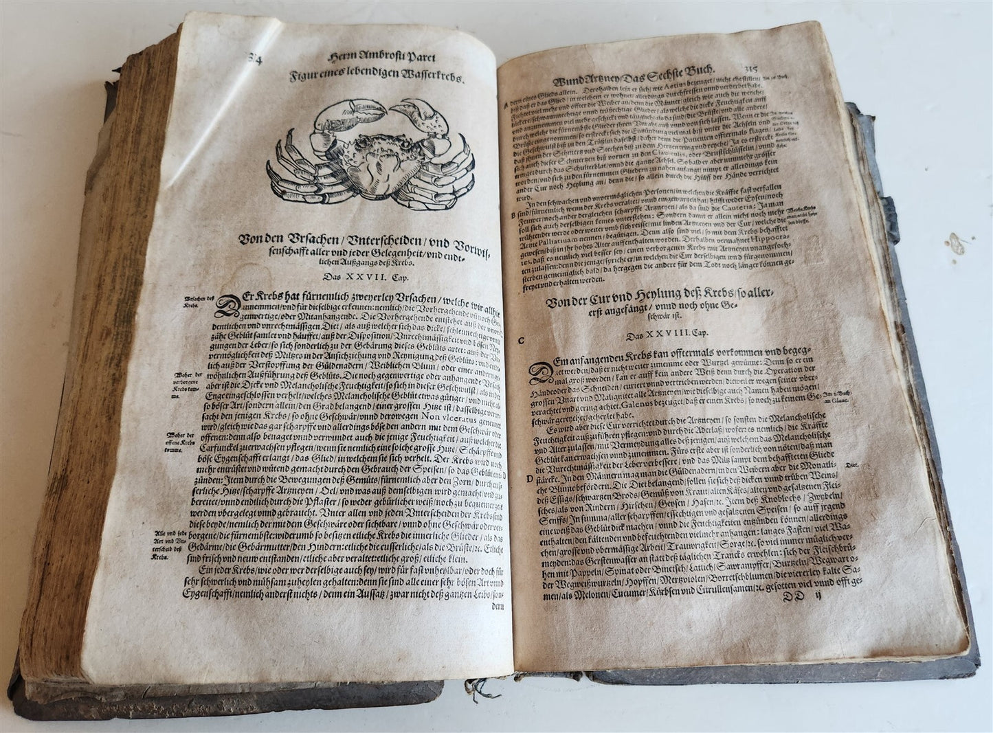 1601 WOUND MEDICINE antique ILLUSTRATED WundArtzney oder Artzney spiegell FOLIO